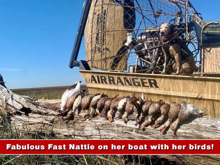 Roger De Spain's Fast Nattie and her Birds