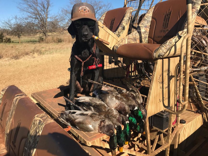 AIRRANGER FAMILY | American Airboat Corp.